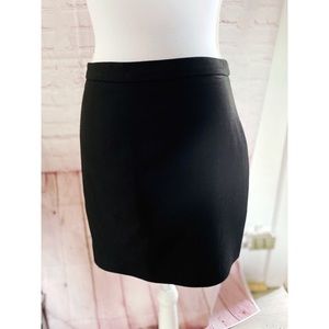 Zara Skirt